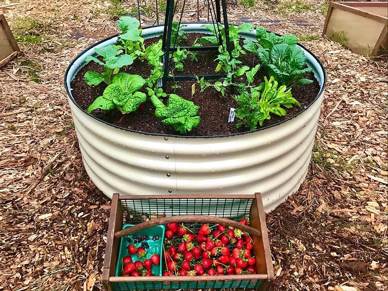 Raised Garden Bed - Round Ø1.7m x 0.5m H (Shell Only)